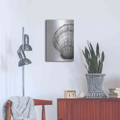 Luxe Metal Art 'On The Half Shell' by Debra Van Swearingen, Metal Wall Art,16x24