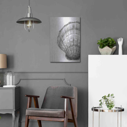 Luxe Metal Art 'On The Half Shell' by Debra Van Swearingen, Metal Wall Art,16x24