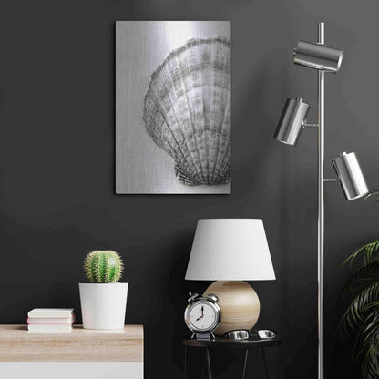 Luxe Metal Art 'On The Half Shell' by Debra Van Swearingen, Metal Wall Art,16x24