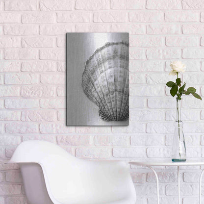 Luxe Metal Art 'On The Half Shell' by Debra Van Swearingen, Metal Wall Art,16x24