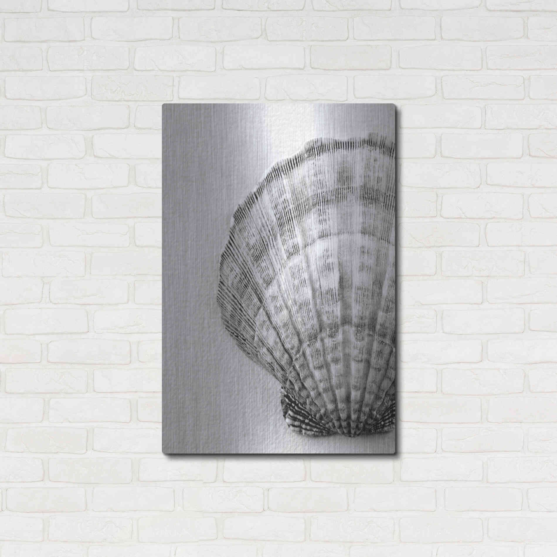Luxe Metal Art 'On The Half Shell' by Debra Van Swearingen, Metal Wall Art,24x36