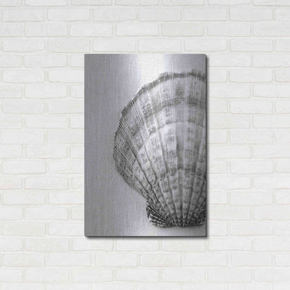 Luxe Metal Art 'On The Half Shell' by Debra Van Swearingen, Metal Wall Art,24x36