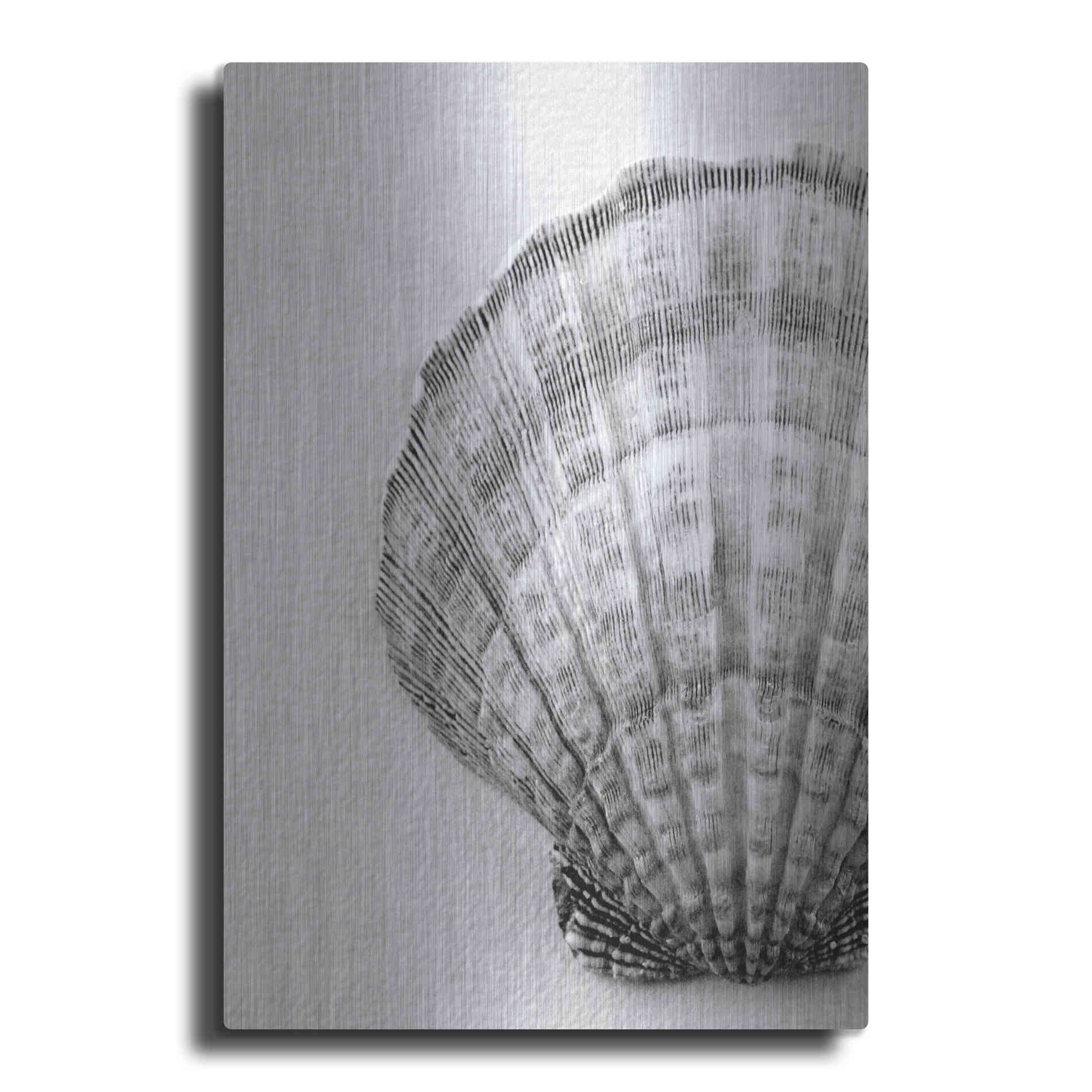 Luxe Metal Art 'On The Half Shell' by Debra Van Swearingen, Metal Wall Art