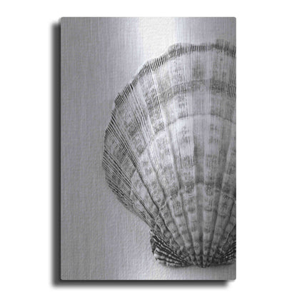 Luxe Metal Art 'On The Half Shell' by Debra Van Swearingen, Metal Wall Art
