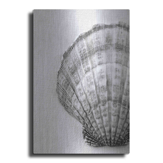 Luxe Metal Art 'On The Half Shell' by Debra Van Swearingen, Metal Wall Art