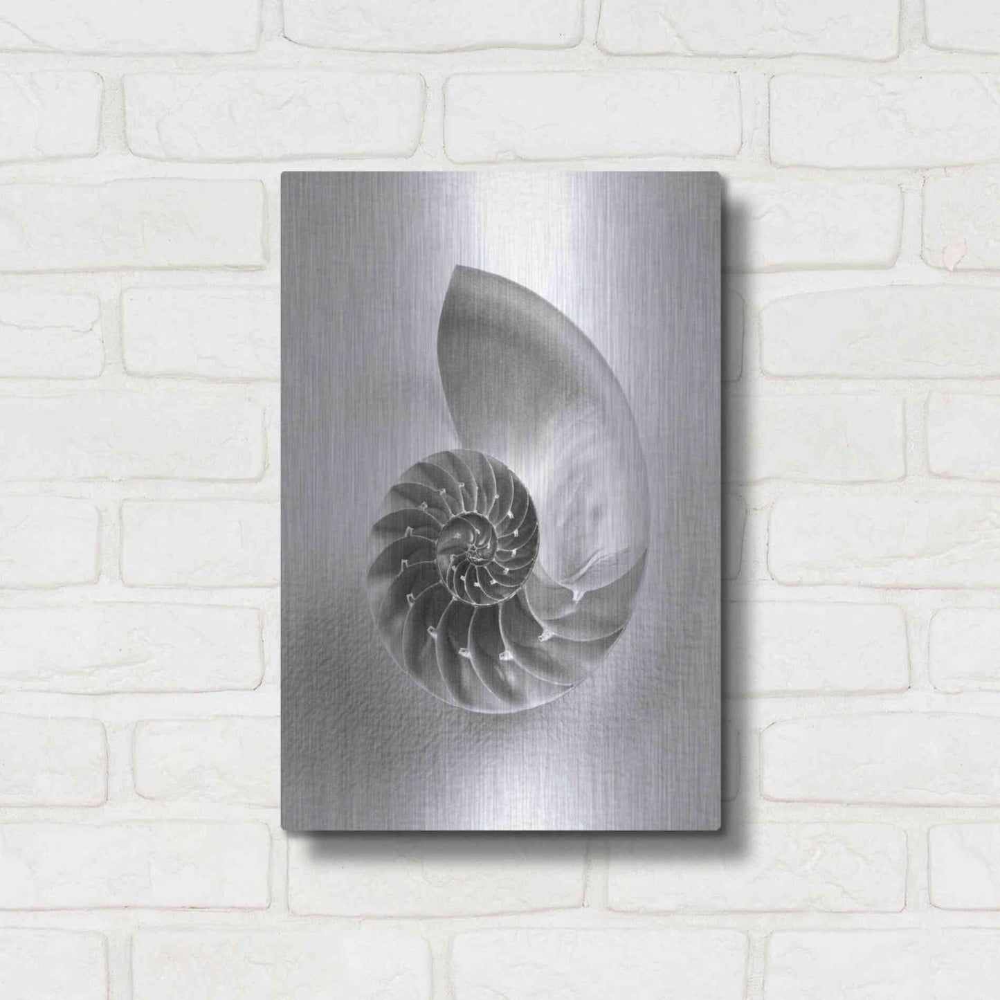 Luxe Metal Art 'Nautilus 4' by Debra Van Swearingen, Metal Wall Art,12x16