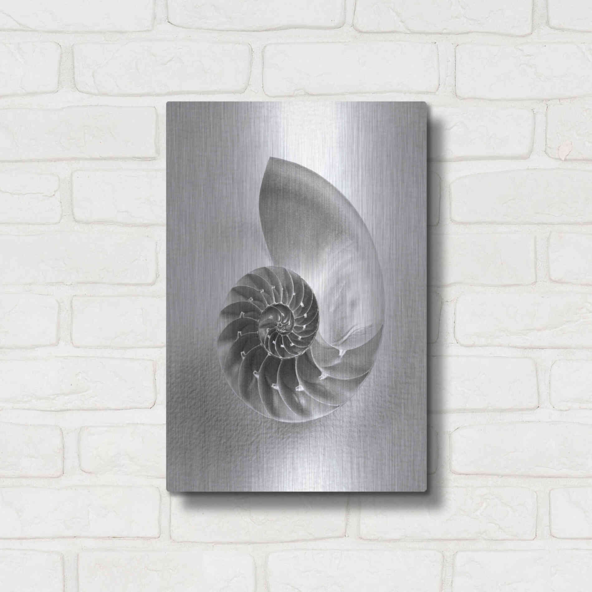 Luxe Metal Art 'Nautilus 4' by Debra Van Swearingen, Metal Wall Art,12x16