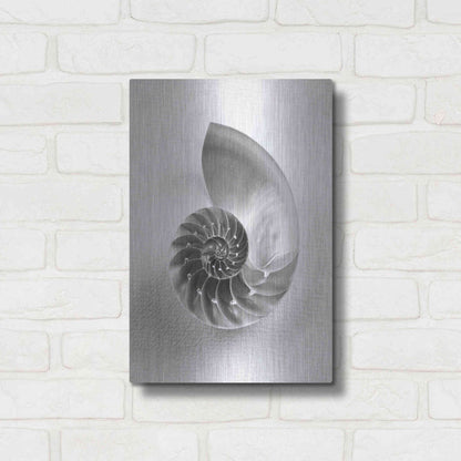 Luxe Metal Art 'Nautilus 4' by Debra Van Swearingen, Metal Wall Art,12x16