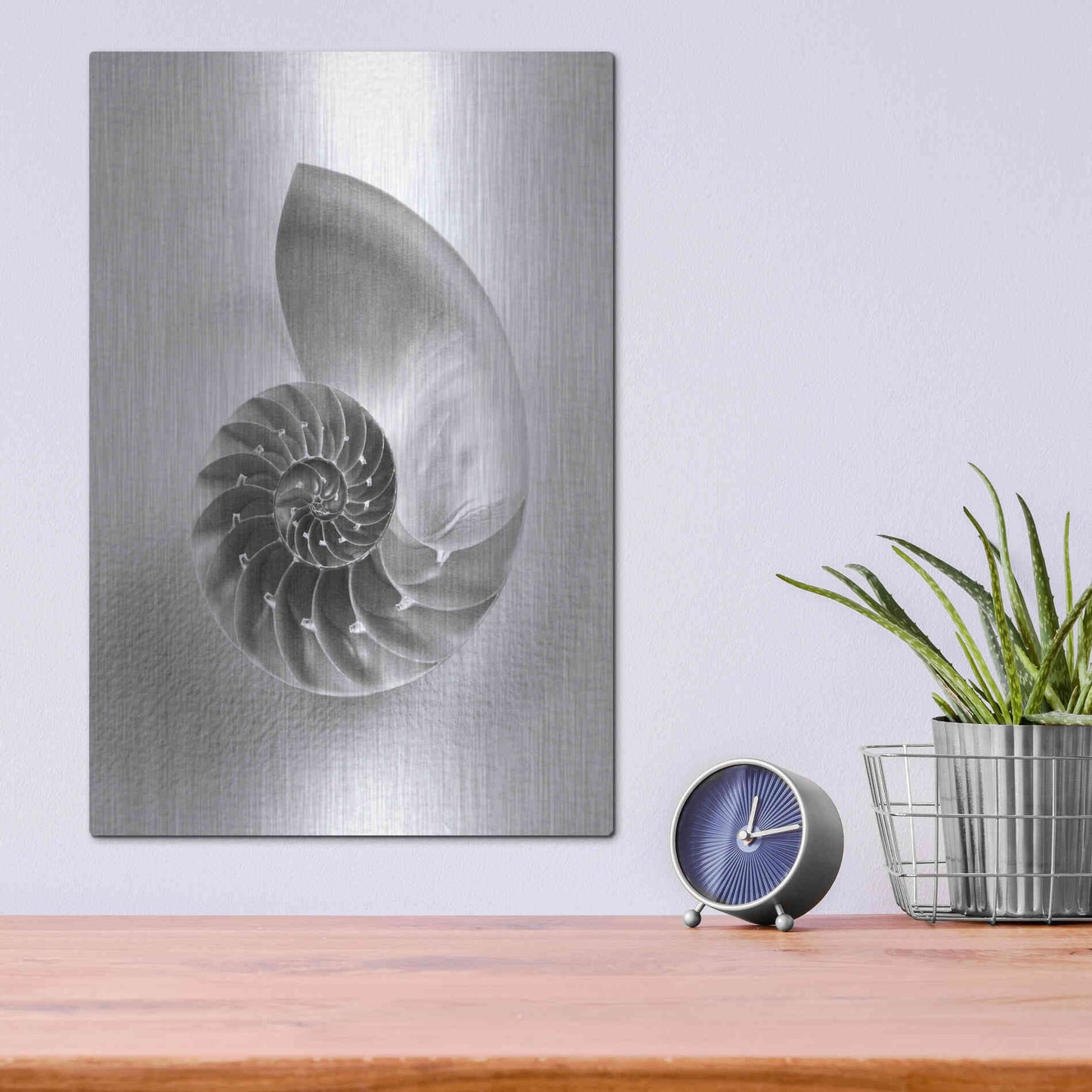 Luxe Metal Art 'Nautilus 4' by Debra Van Swearingen, Metal Wall Art,12x16