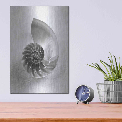 Luxe Metal Art 'Nautilus 4' by Debra Van Swearingen, Metal Wall Art,12x16