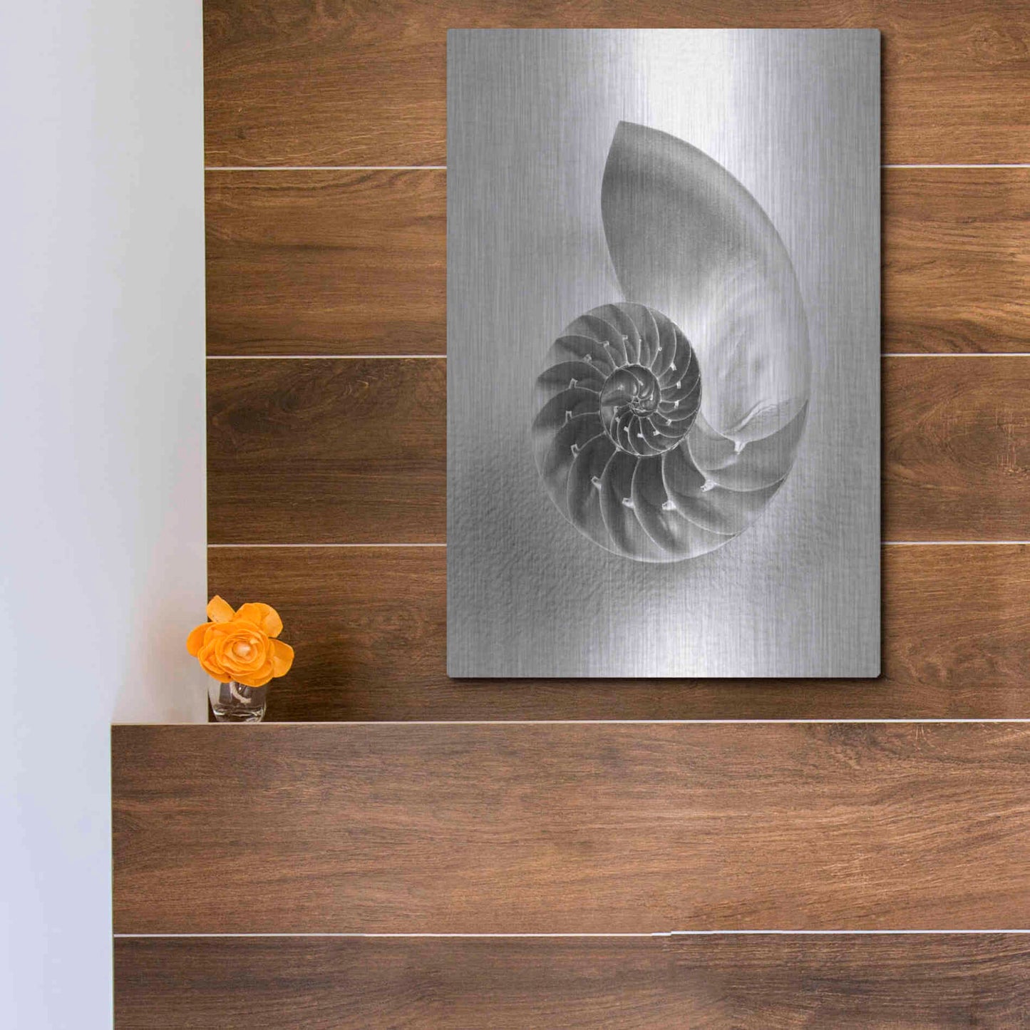 Luxe Metal Art 'Nautilus 4' by Debra Van Swearingen, Metal Wall Art,12x16
