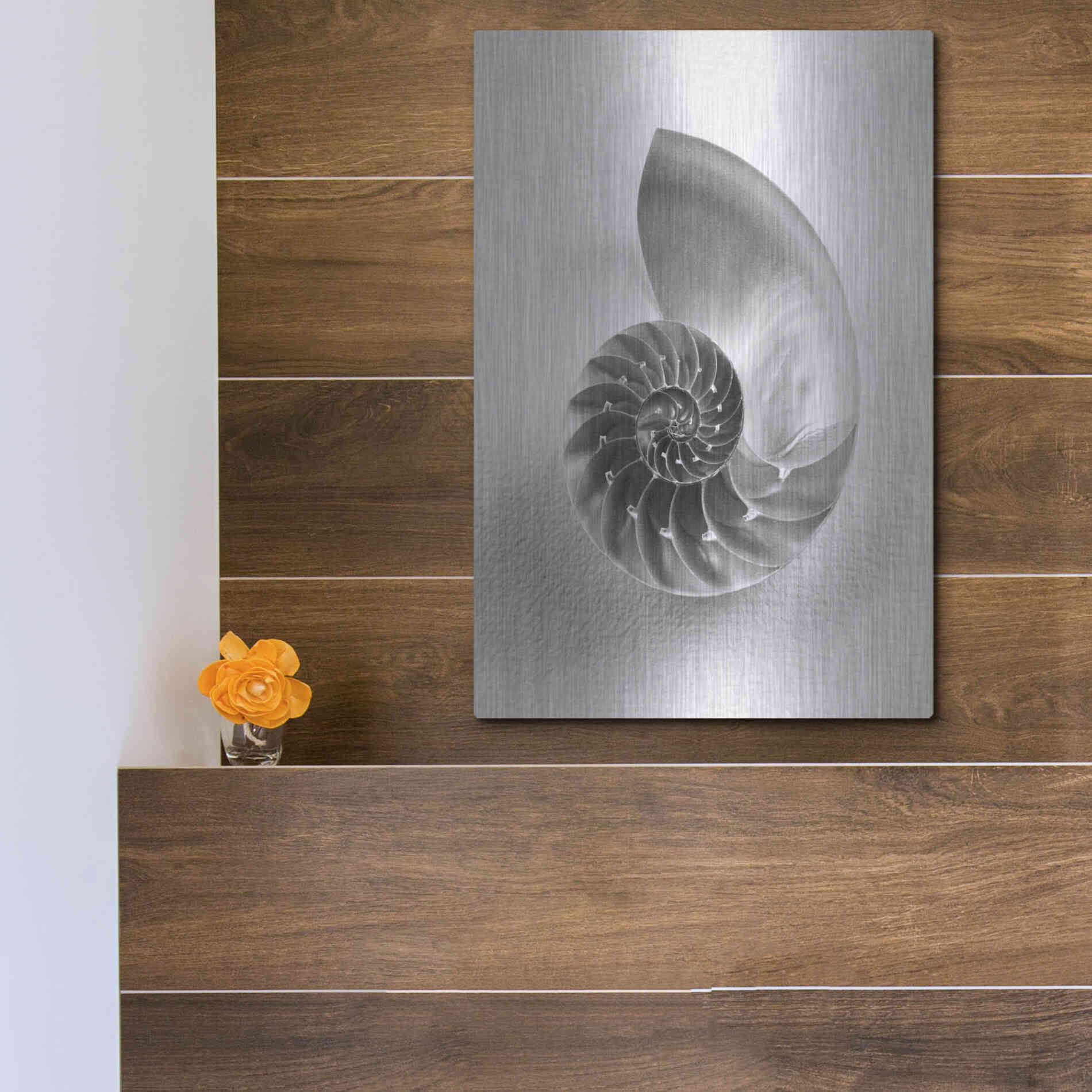 Luxe Metal Art 'Nautilus 4' by Debra Van Swearingen, Metal Wall Art,12x16