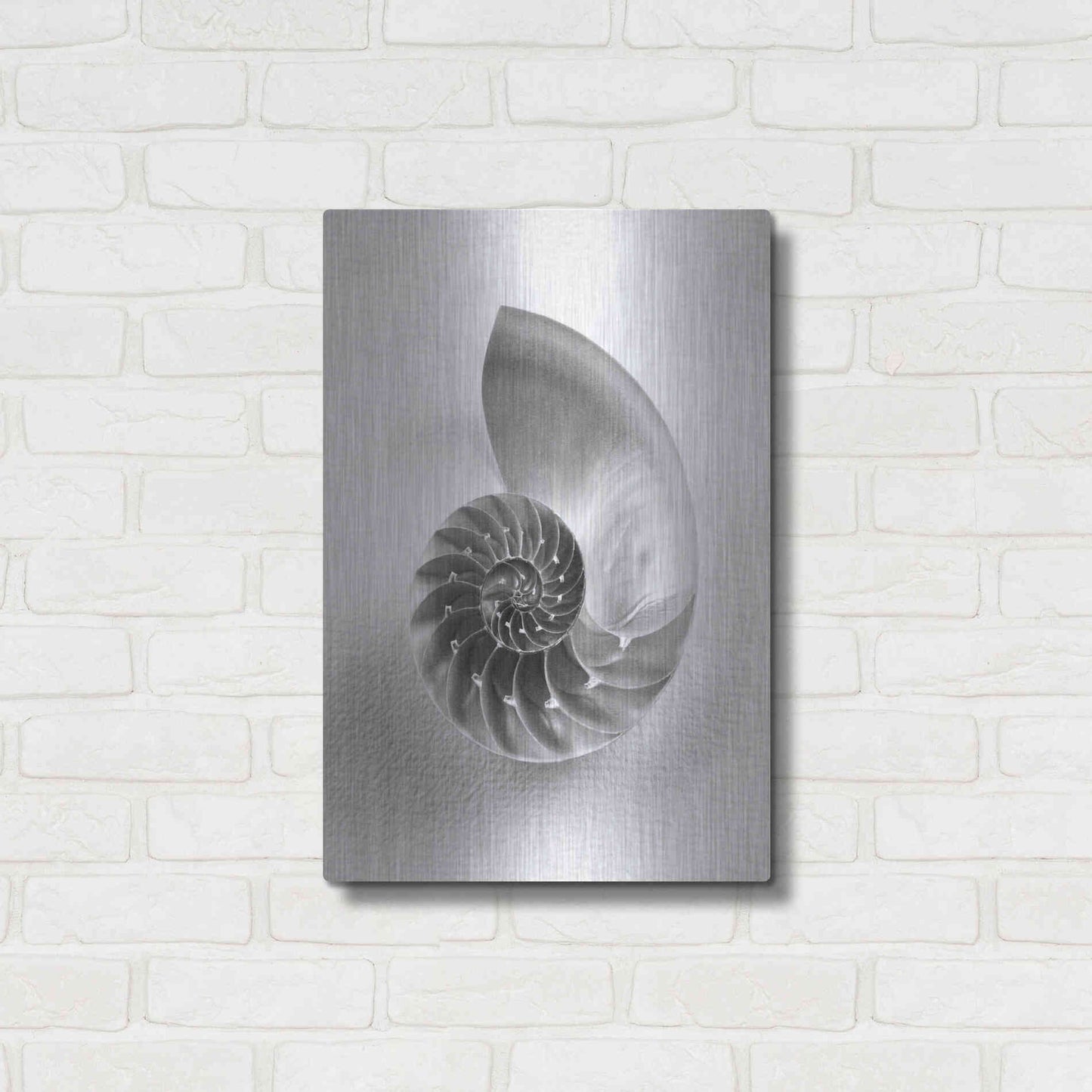 Luxe Metal Art 'Nautilus 4' by Debra Van Swearingen, Metal Wall Art,16x24