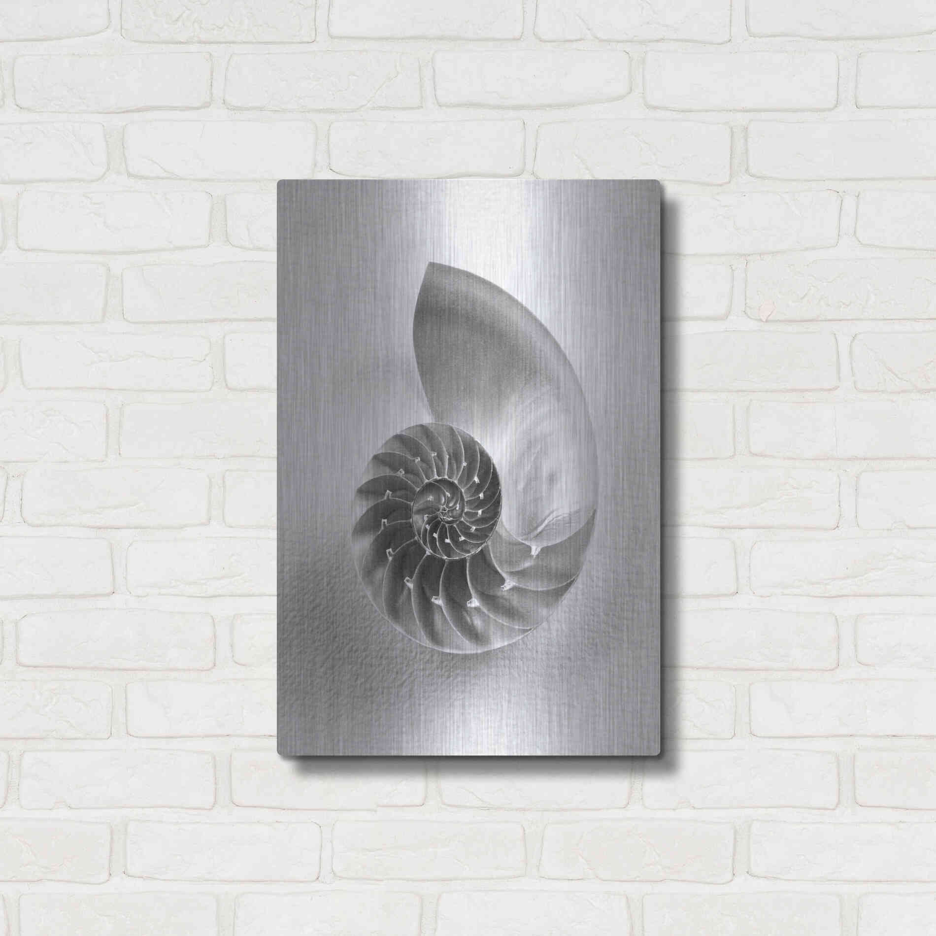 Luxe Metal Art 'Nautilus 4' by Debra Van Swearingen, Metal Wall Art,16x24