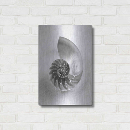 Luxe Metal Art 'Nautilus 4' by Debra Van Swearingen, Metal Wall Art,16x24