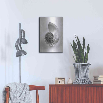 Luxe Metal Art 'Nautilus 4' by Debra Van Swearingen, Metal Wall Art,16x24