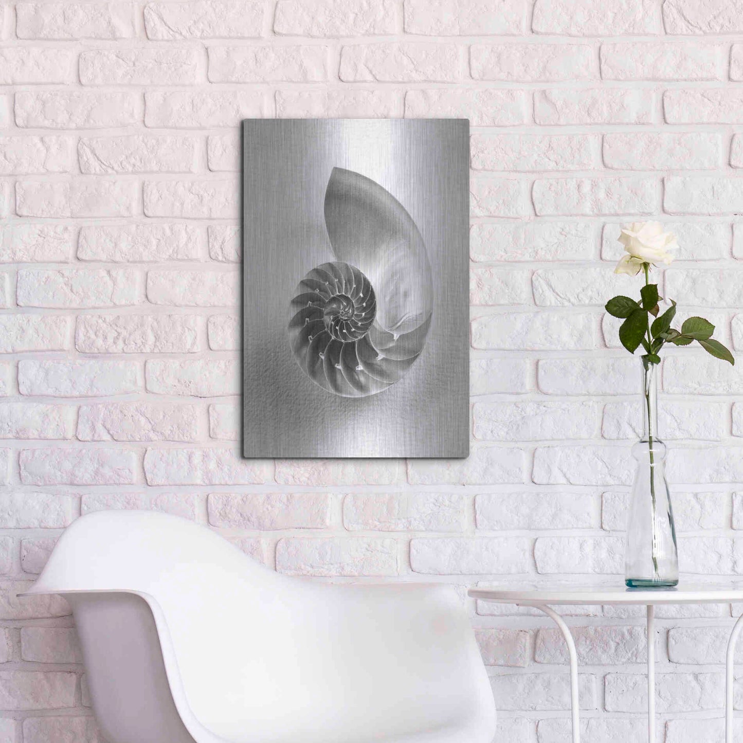 Luxe Metal Art 'Nautilus 4' by Debra Van Swearingen, Metal Wall Art,16x24