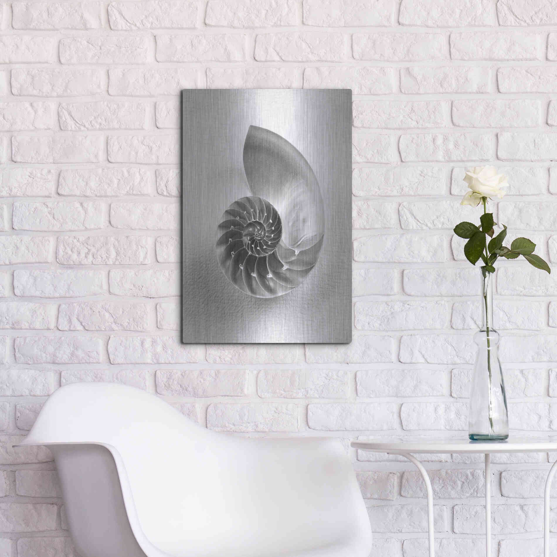 Luxe Metal Art 'Nautilus 4' by Debra Van Swearingen, Metal Wall Art,16x24