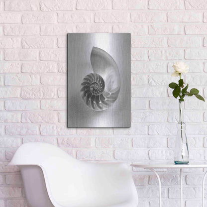 Luxe Metal Art 'Nautilus 4' by Debra Van Swearingen, Metal Wall Art,16x24