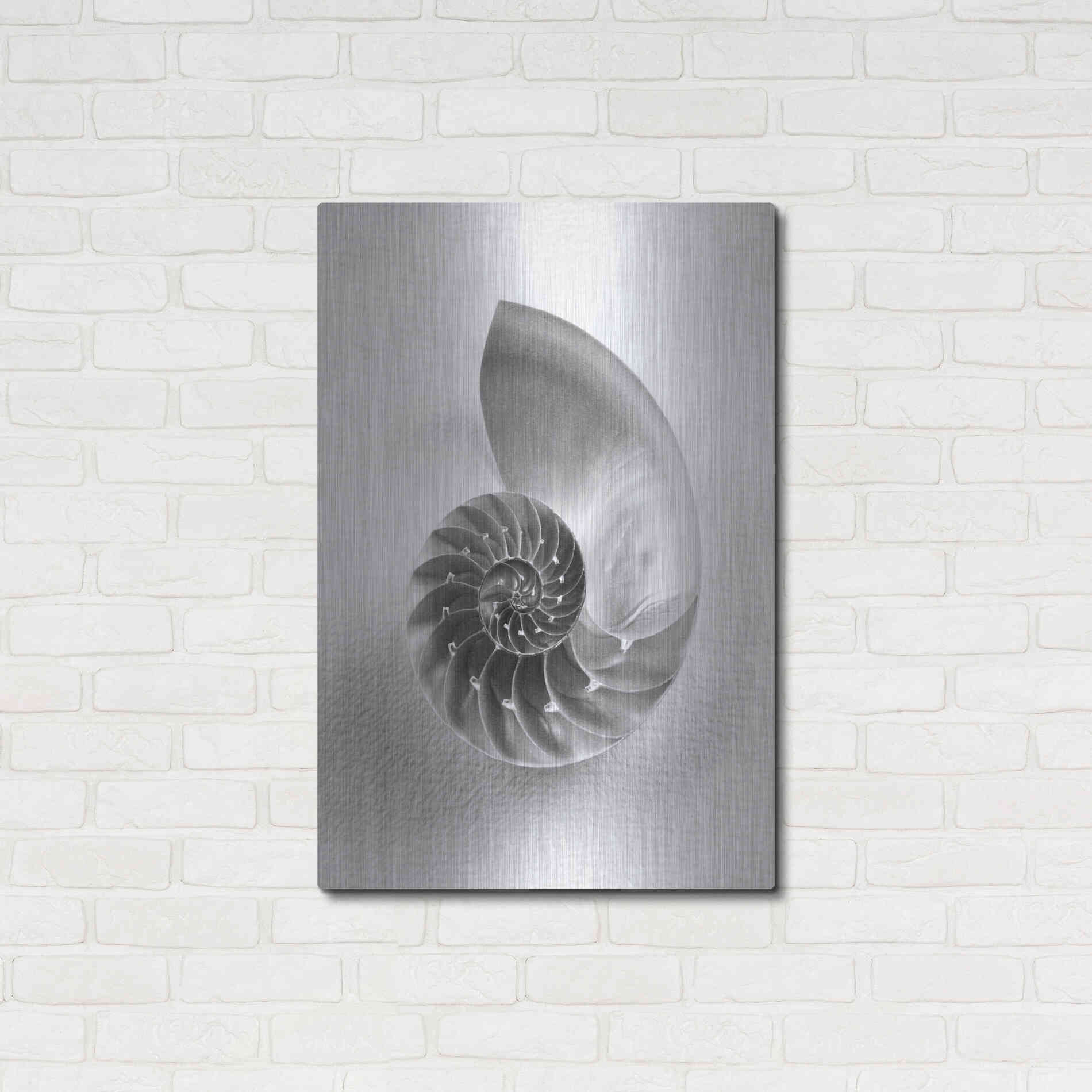 Luxe Metal Art 'Nautilus 4' by Debra Van Swearingen, Metal Wall Art,24x36