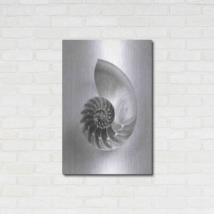 Luxe Metal Art 'Nautilus 4' by Debra Van Swearingen, Metal Wall Art,24x36