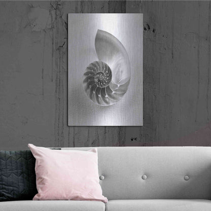 Luxe Metal Art 'Nautilus 4' by Debra Van Swearingen, Metal Wall Art,24x36