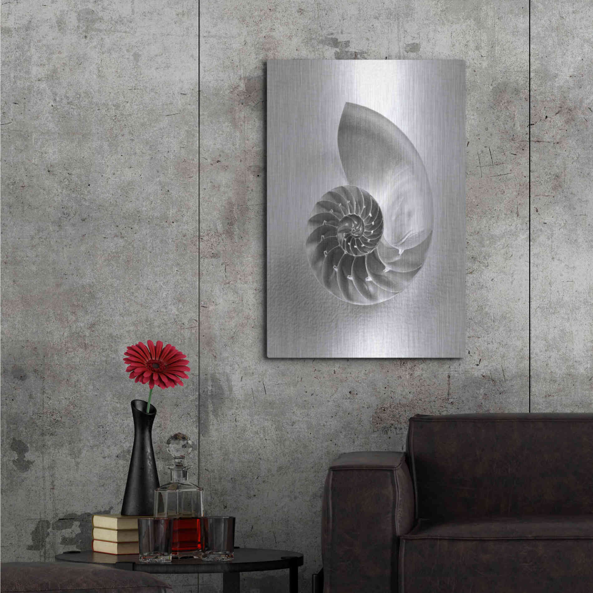 Luxe Metal Art 'Nautilus 4' by Debra Van Swearingen, Metal Wall Art,24x36