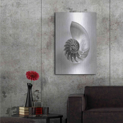 Luxe Metal Art 'Nautilus 4' by Debra Van Swearingen, Metal Wall Art,24x36