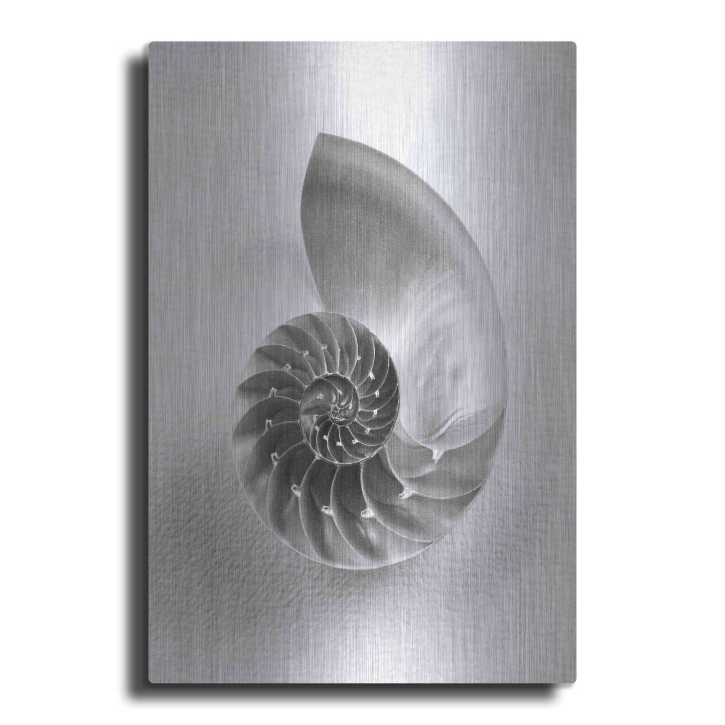 Luxe Metal Art 'Nautilus 4' by Debra Van Swearingen, Metal Wall Art
