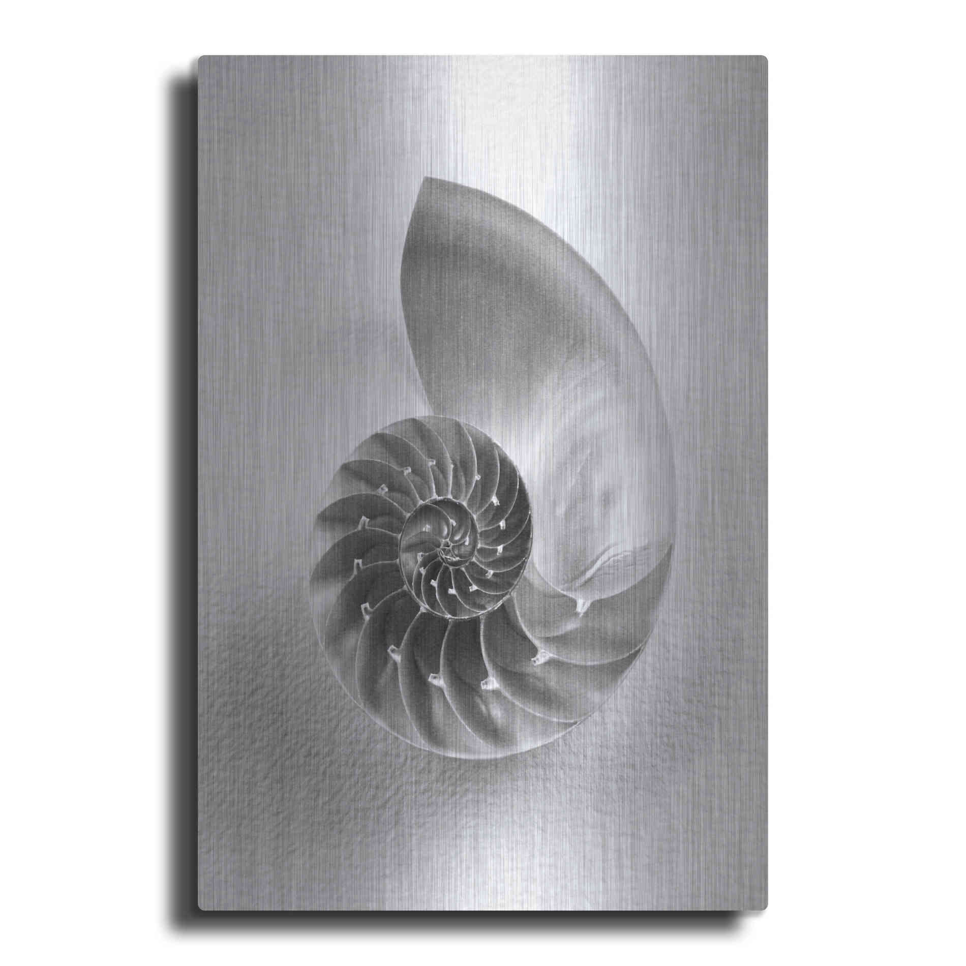 Luxe Metal Art 'Nautilus 4' by Debra Van Swearingen, Metal Wall Art