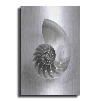 Luxe Metal Art 'Nautilus 4' by Debra Van Swearingen, Metal Wall Art