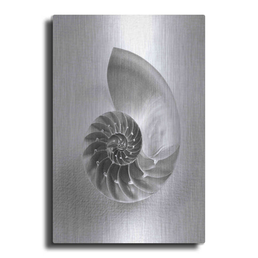 Luxe Metal Art 'Nautilus 4' by Debra Van Swearingen, Metal Wall Art