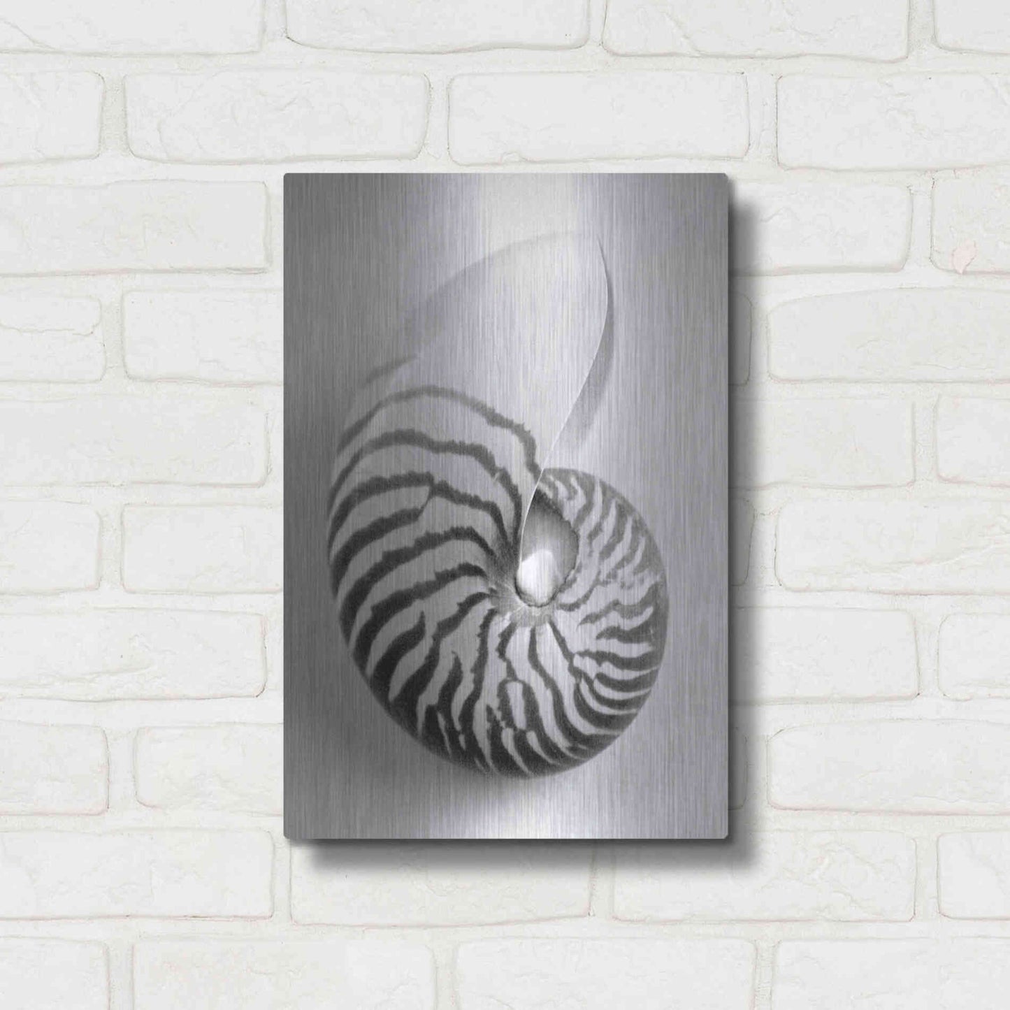 Luxe Metal Art 'Nautilus 2' by Debra Van Swearingen, Metal Wall Art,12x16