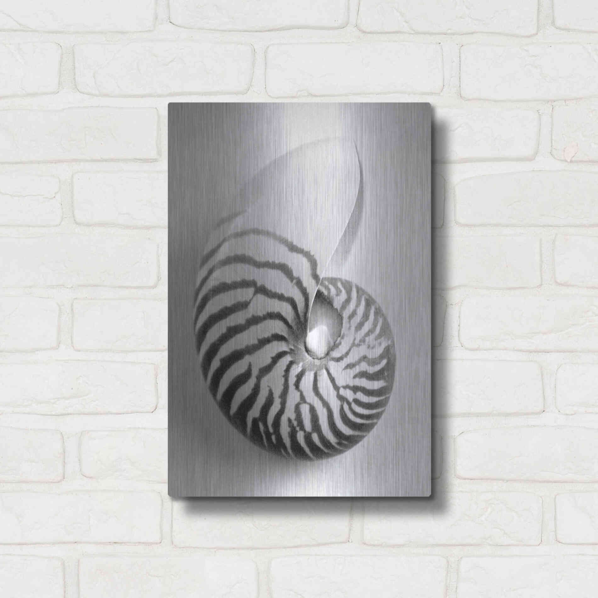 Luxe Metal Art 'Nautilus 2' by Debra Van Swearingen, Metal Wall Art,12x16