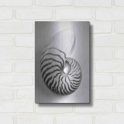 Luxe Metal Art 'Nautilus 2' by Debra Van Swearingen, Metal Wall Art,12x16