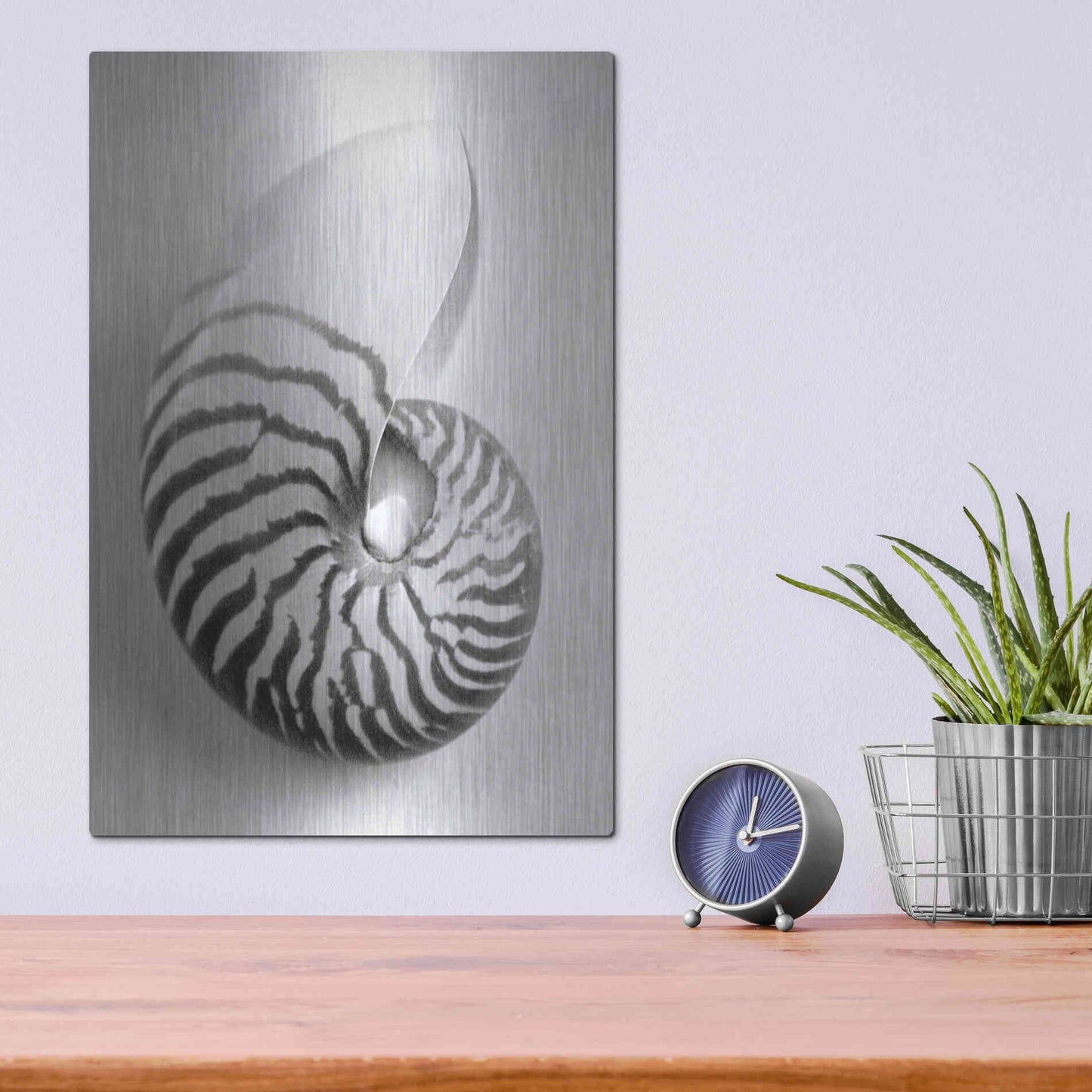 Luxe Metal Art 'Nautilus 2' by Debra Van Swearingen, Metal Wall Art,12x16