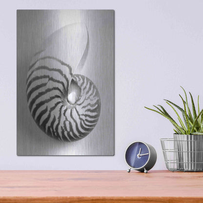 Luxe Metal Art 'Nautilus 2' by Debra Van Swearingen, Metal Wall Art,12x16