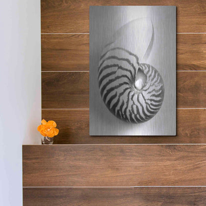 Luxe Metal Art 'Nautilus 2' by Debra Van Swearingen, Metal Wall Art,12x16