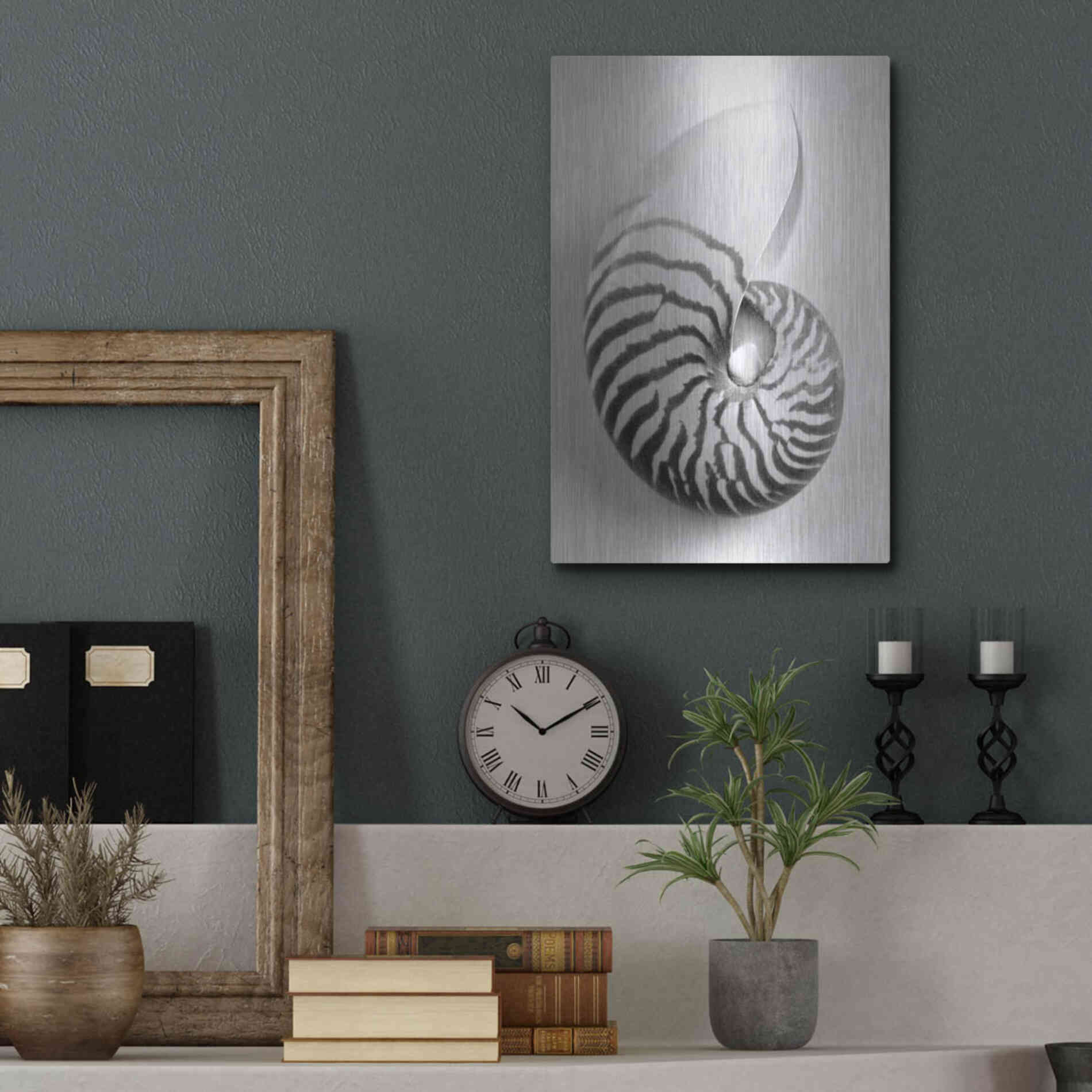 Luxe Metal Art 'Nautilus 2' by Debra Van Swearingen, Metal Wall Art,12x16
