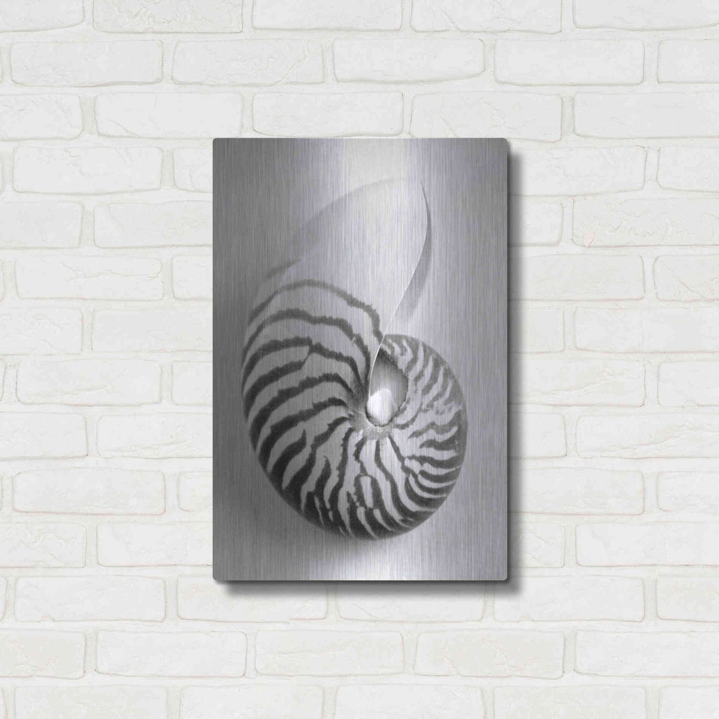 Luxe Metal Art 'Nautilus 2' by Debra Van Swearingen, Metal Wall Art,16x24