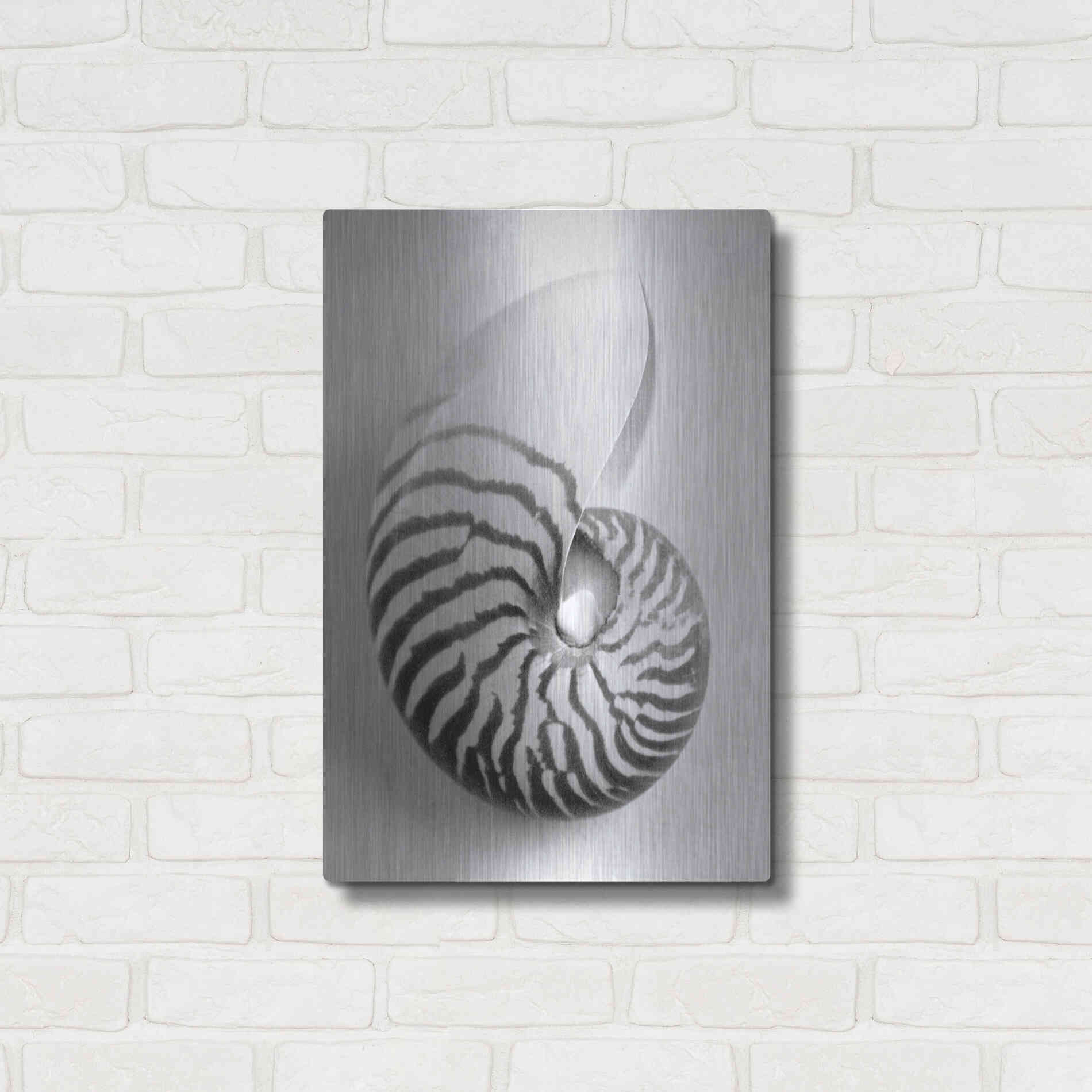 Luxe Metal Art 'Nautilus 2' by Debra Van Swearingen, Metal Wall Art,16x24