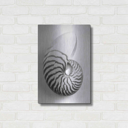 Luxe Metal Art 'Nautilus 2' by Debra Van Swearingen, Metal Wall Art,16x24