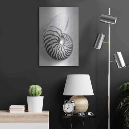 Luxe Metal Art 'Nautilus 2' by Debra Van Swearingen, Metal Wall Art,16x24