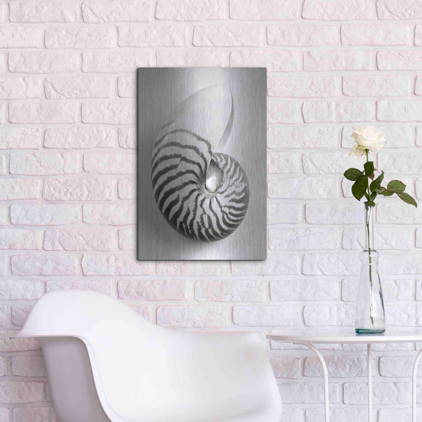 Luxe Metal Art 'Nautilus 2' by Debra Van Swearingen, Metal Wall Art,16x24