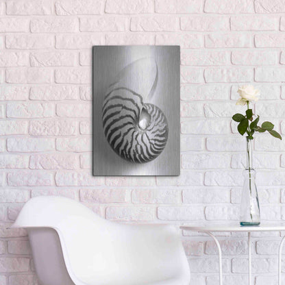Luxe Metal Art 'Nautilus 2' by Debra Van Swearingen, Metal Wall Art,16x24