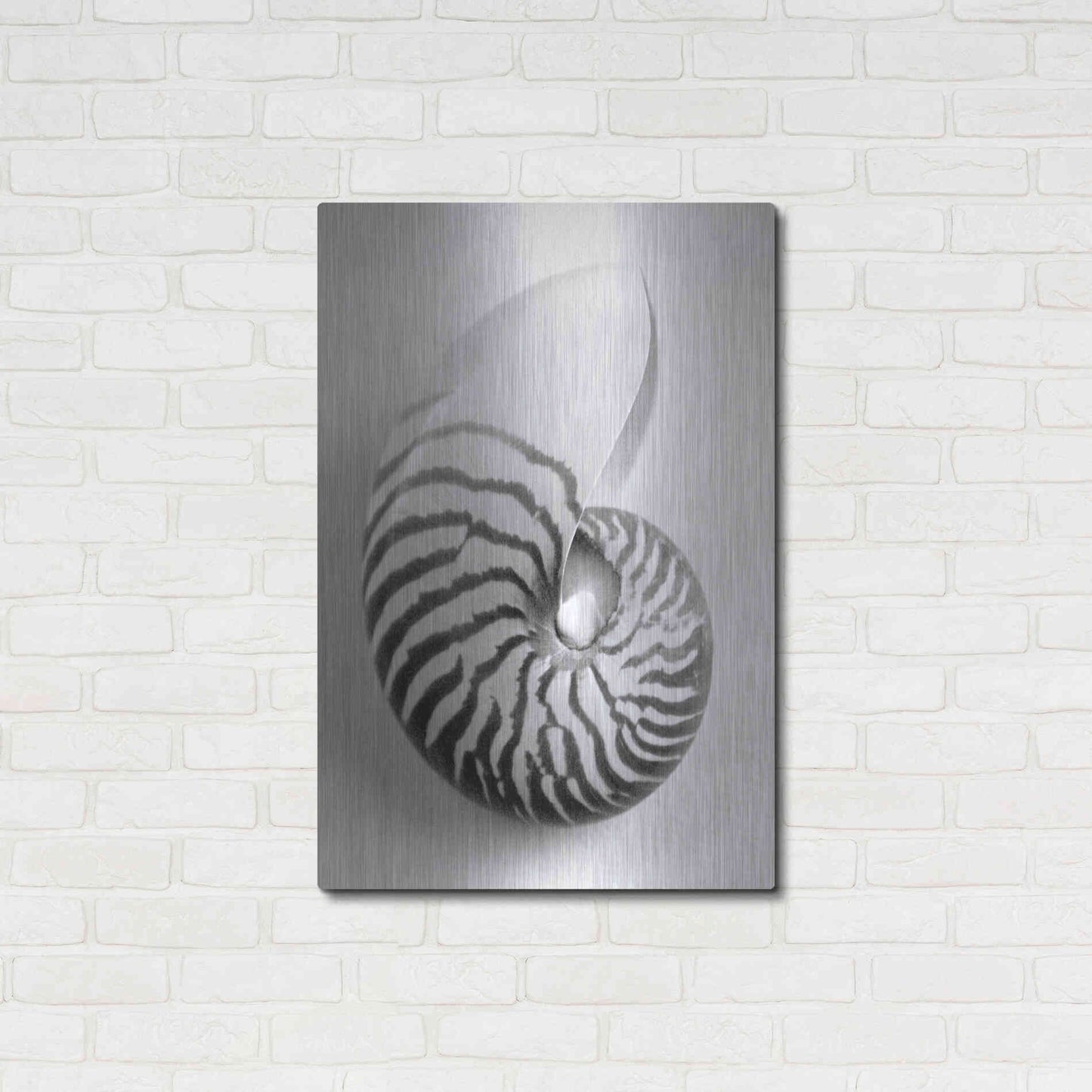 Luxe Metal Art 'Nautilus 2' by Debra Van Swearingen, Metal Wall Art,24x36