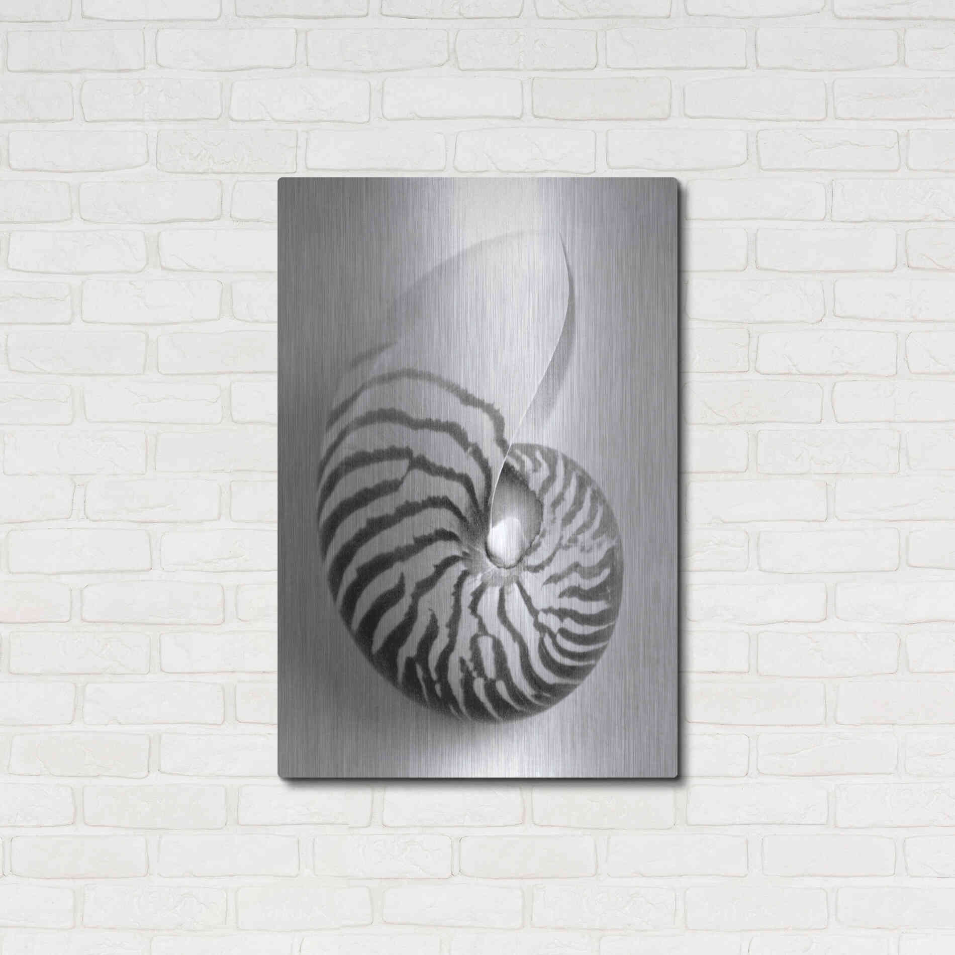 Luxe Metal Art 'Nautilus 2' by Debra Van Swearingen, Metal Wall Art,24x36