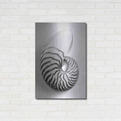 Luxe Metal Art 'Nautilus 2' by Debra Van Swearingen, Metal Wall Art,24x36