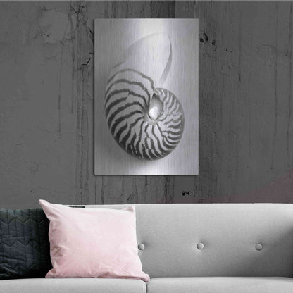 Luxe Metal Art 'Nautilus 2' by Debra Van Swearingen, Metal Wall Art,24x36