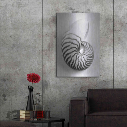 Luxe Metal Art 'Nautilus 2' by Debra Van Swearingen, Metal Wall Art,24x36